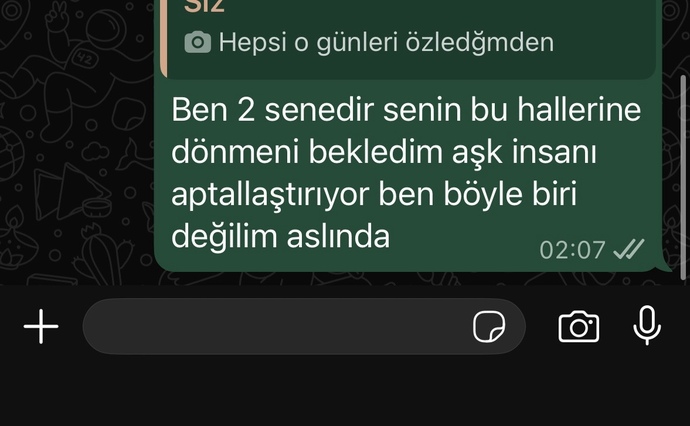 Bunları yazmam küçük mü düşürdü?