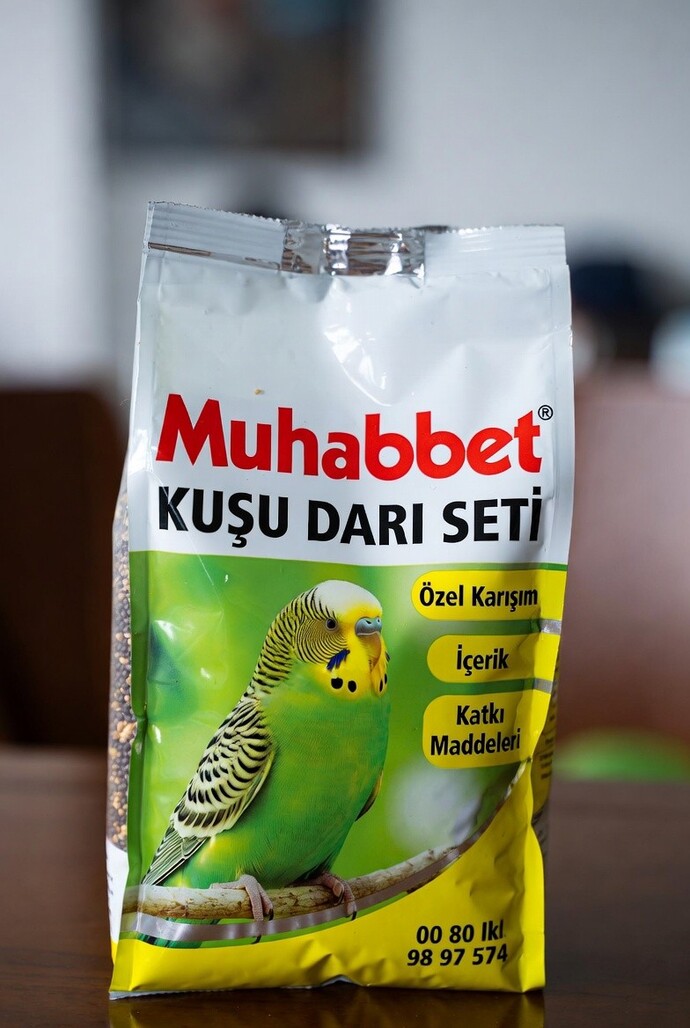 Evcil hayvanına yılbaşı hediyesi alacak olsan, hediyen ne olurdu? 🎁?