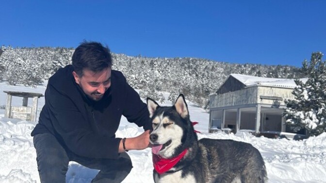 Köpekleri severmisiniz? Hangi tür beslemek istersiniz?