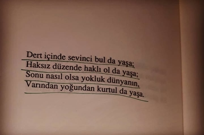 Kitap okurken bazı satırların altını çizer misiniz?
