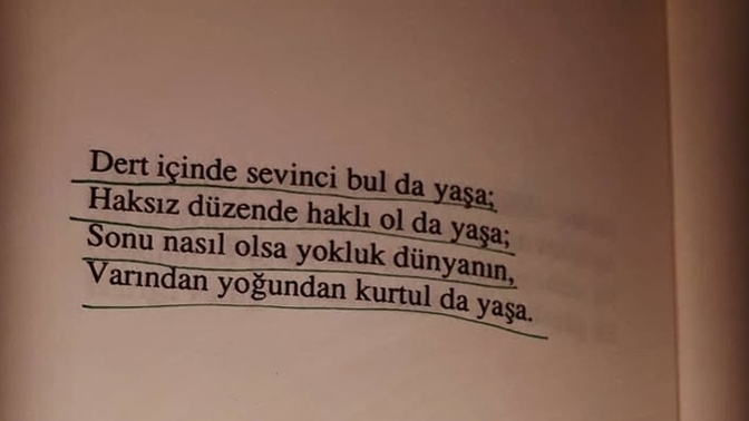 Kitap okurken bazı satırların altını çizer misiniz?
