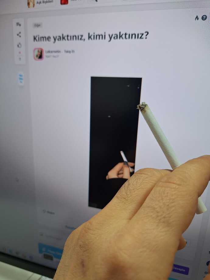 Kime yaktınız, kimi yaktınız?