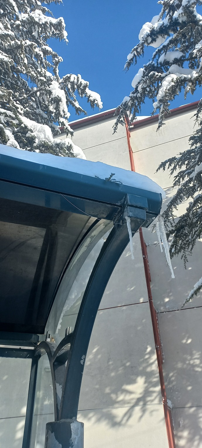 Size çektiğim manzara fotoğraflarını göstereyim mi, pahalı oyuncaklara rağmen 🤔?