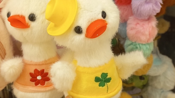 Size çektiğim manzara fotoğraflarını göstereyim mi, pahalı oyuncaklara rağmen 🤔?