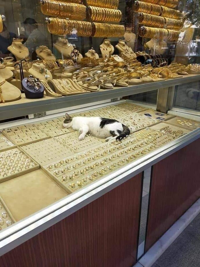 Bazen hayat kafanızda tamamen anlamını yitiriyor mu?