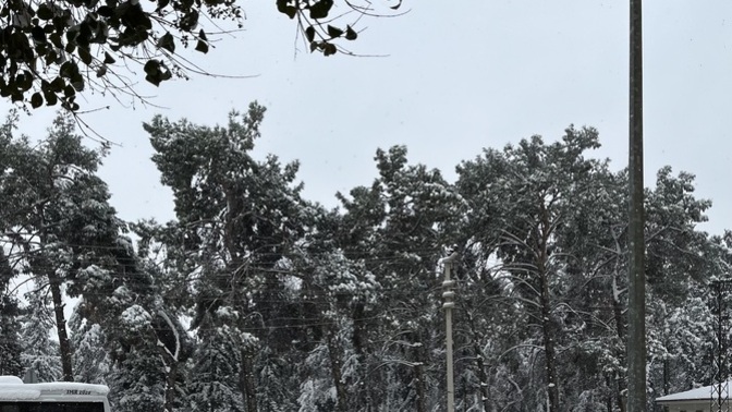 Kar yağdı e noldu şimdi fotoğrafınızı çeken biri var mı?