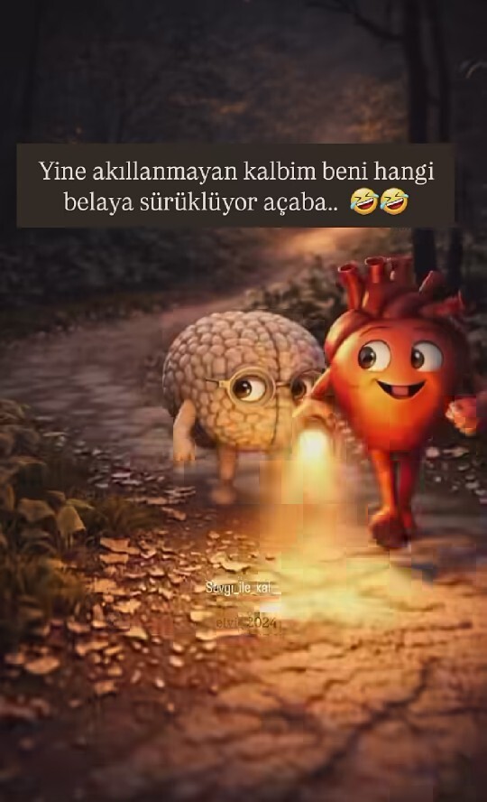 Sizin kalbiniz de bazen şapşallıklar yapıyor mu?