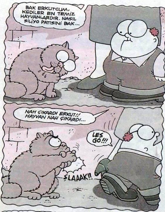 Ekmek arası reçel mi, ekmek arası peynir mi, ekmek arası çikolata mı favorin?