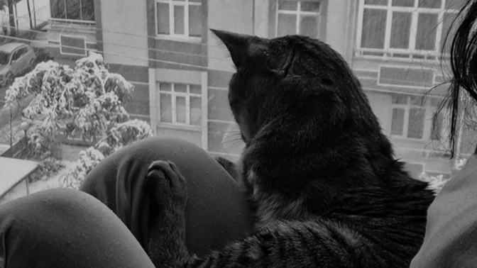 Yeni yılın ilk günü nasıl geçiyor, yeni yıl ruhuna girebilen var mı?