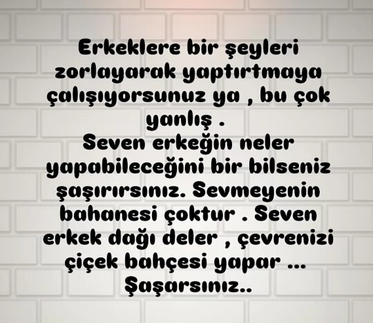 Seven erkek davranışları nelerdir?