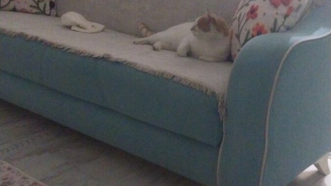 Yilin ilk hatasini yapan kimlerrr?