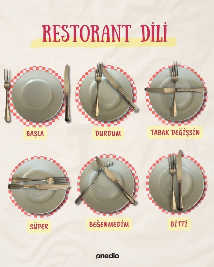 Kaç tane yabancı dil biliyorsunuz?