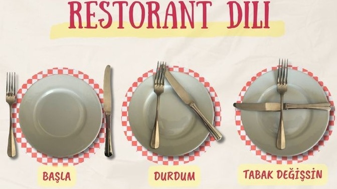 Kaç tane yabancı dil biliyorsunuz?
