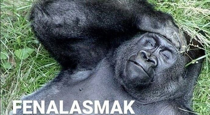 para azya 3 rakamı küçük be değmez.
