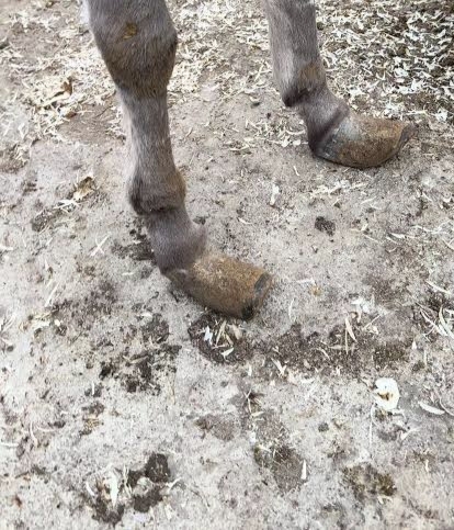 Seks sırasında ojeyi çekici bulup normalde hijyenik bulmamak sizce normal mi?