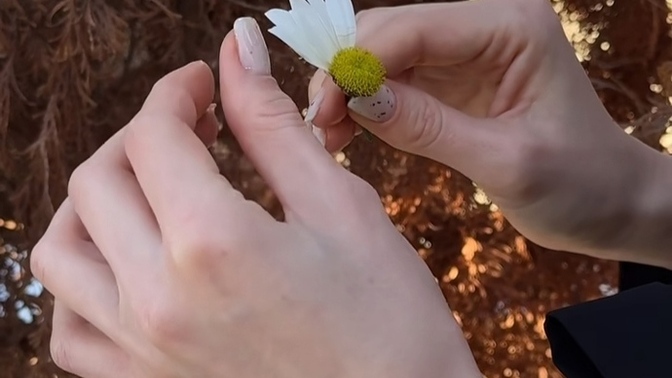 Can mı daha tatlıdır yoksa canan mı?