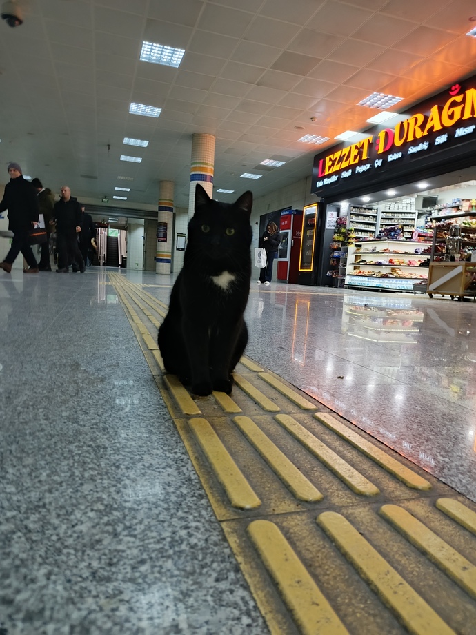 Ofise giderken denk geldiğim bu hergele oğlan sizce yakışıklı mı 😅?