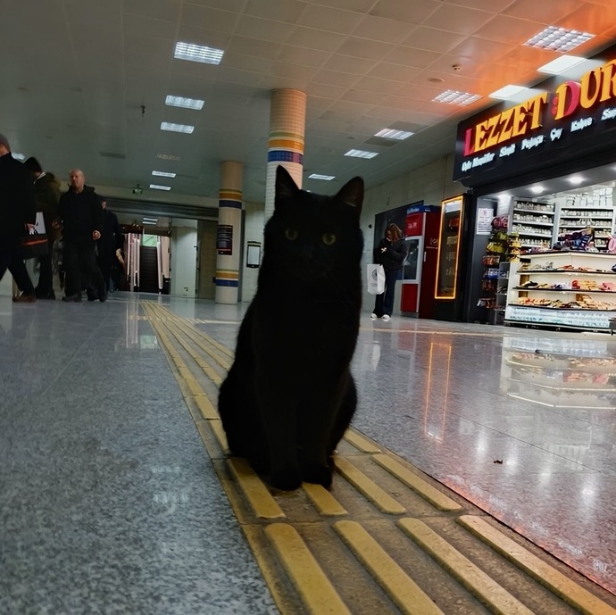 Ofise giderken denk geldiğim bu hergele oğlan sizce yakışıklı mı 😅?