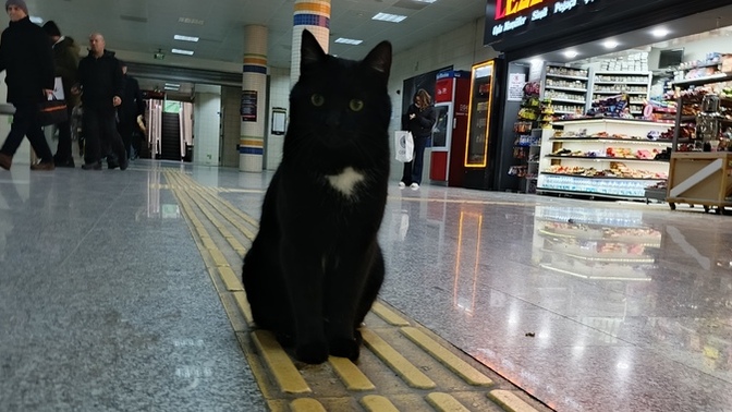 Ofise giderken denk geldiğim bu hergele oğlan sizce yakışıklı mı 😅?