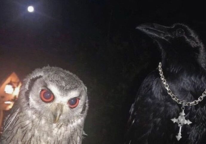 En iyi arkadaşınızla aynı frekansta mısınız, yoksa bambaşka dünyaların insanları mısınız?