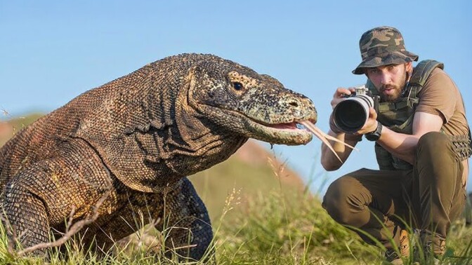 Komodo ejderi beslesen, adını ne koyardın?