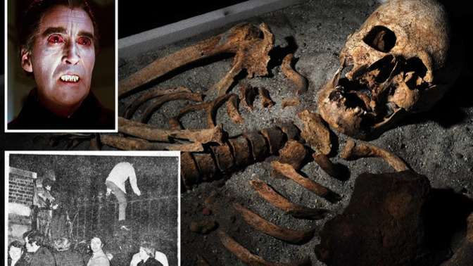 Gerçek hayatta vampirler var mı yoksa hepsi efsane mi 🧛‍♂️?