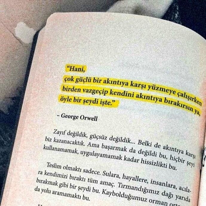 Hayatta beklemek mi kazandırır, akışa bırakmak mı🌿?