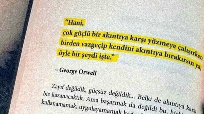 Hayatta beklemek mi kazandırır, akışa bırakmak mı🌿?