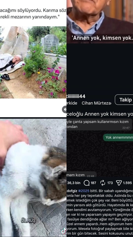 Hava çok soğuk kedilere mama vermek aklınıza geliyor mu hiç?