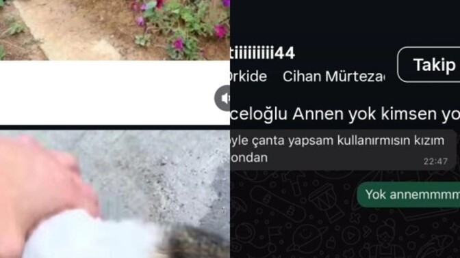 Hava çok soğuk kedilere mama vermek aklınıza geliyor mu hiç?