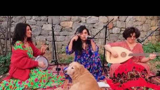 Müzik zevkimle uyuşan gerçek bir kadını nerede, nasıl bulabilirim?