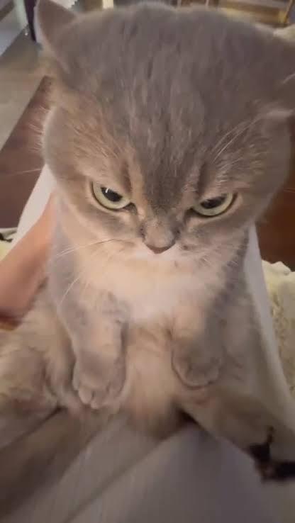 Çok sinirlendiğinizde naparsiniz?