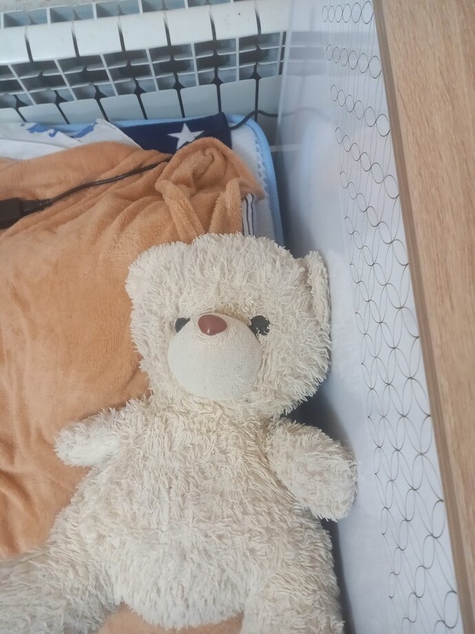 Size yeni yıl hediyesi olarak ne alındı?