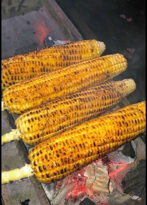 Süt mısır mı közde mısır mı?