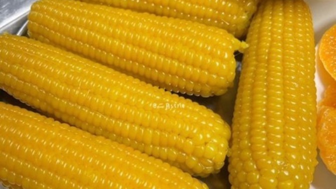 Süt mısır mı közde mısır mı?