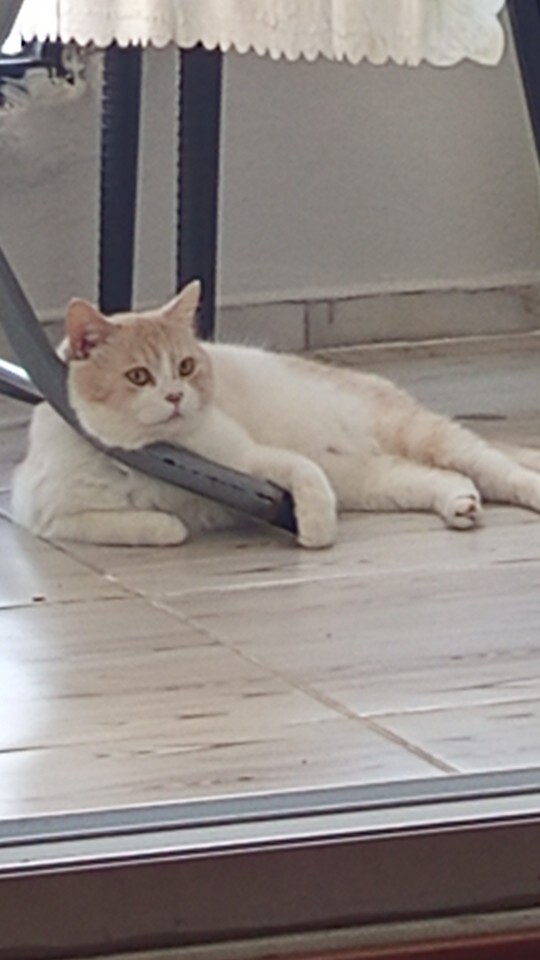 Bu sezon izlediğiniz bir dizi var mı?