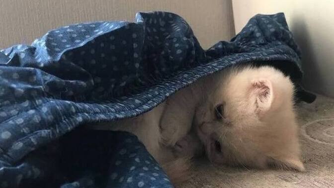 İyi akşamlar, melankolik şarkılar dinlemek morali düşürür mü?