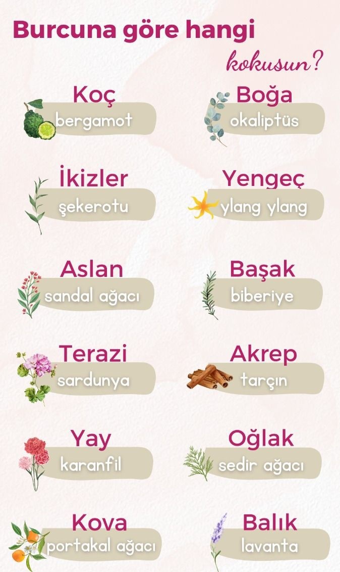 Burcuna göre hangi kokusun 🤔?