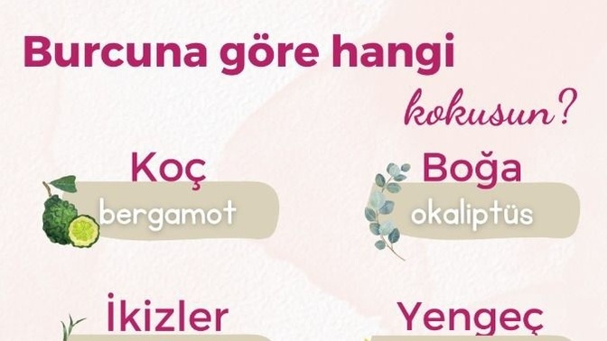 Burcuna göre hangi kokusun 🤔?