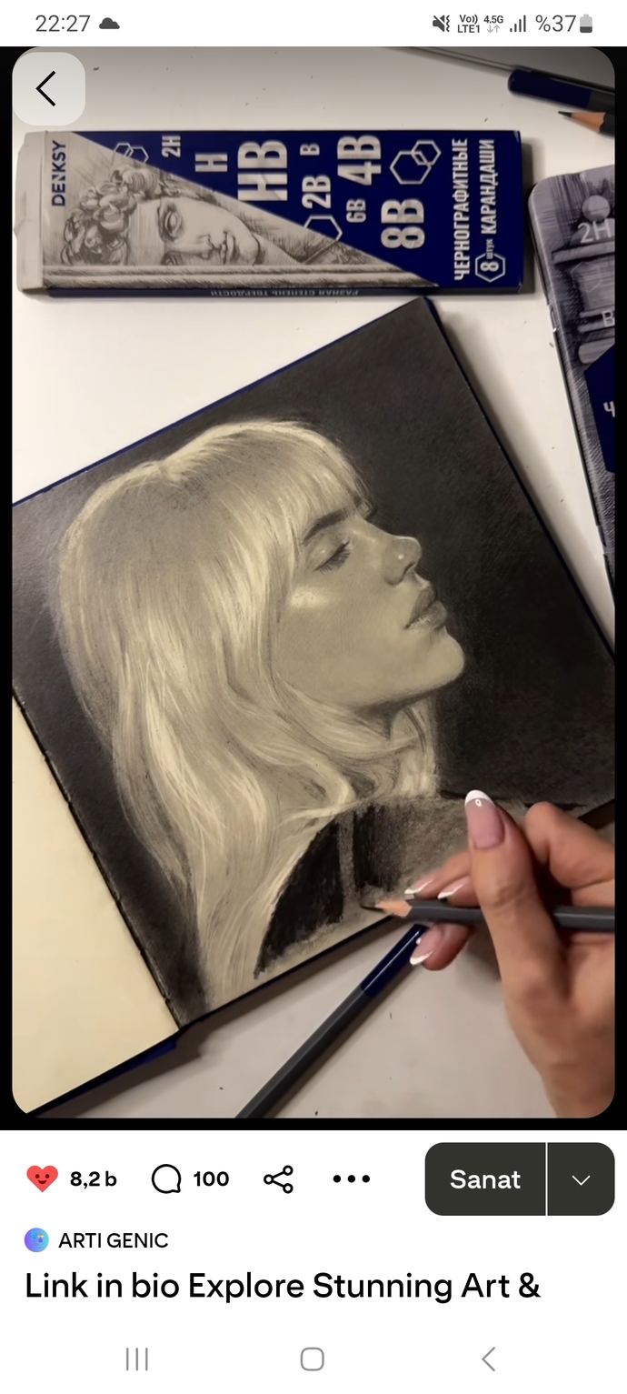 Ressam var mi? Ben boyle resim cizebilir miyim? alttaki benim işlerim ressam biri cevaplasinn?