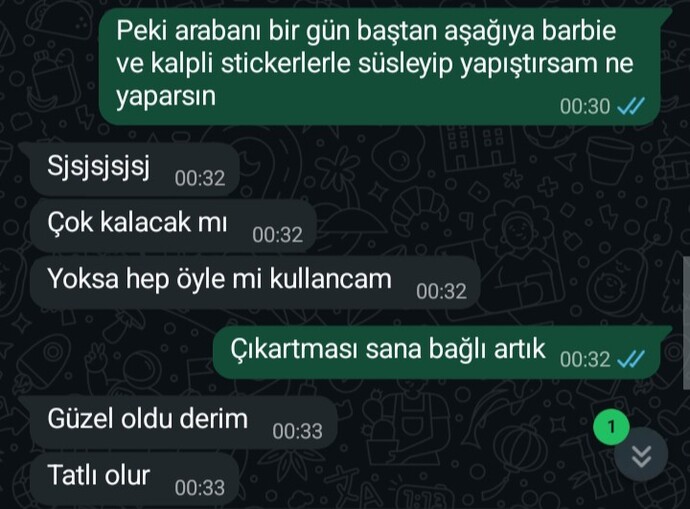 Sizce seviyor mu beyler?