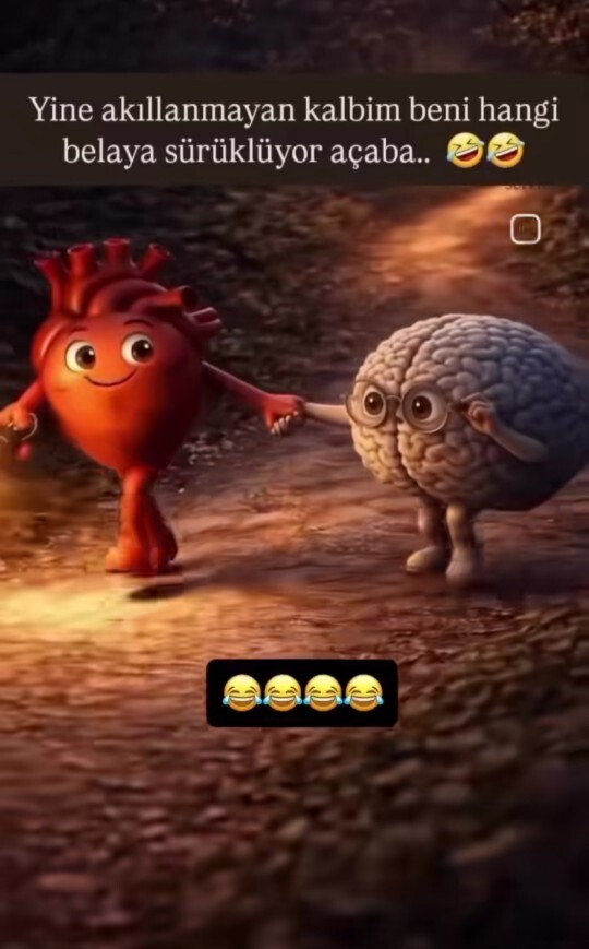 Sizi en çok aklınız mı, kalbiniz mi yanıltır?