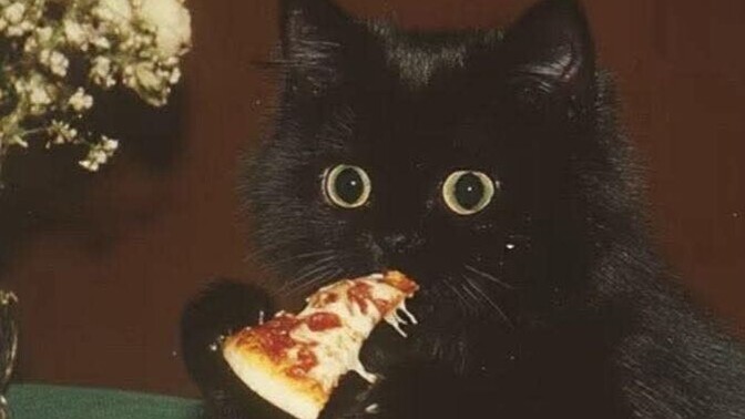 Pizza yemeyi seviyor musunuz?