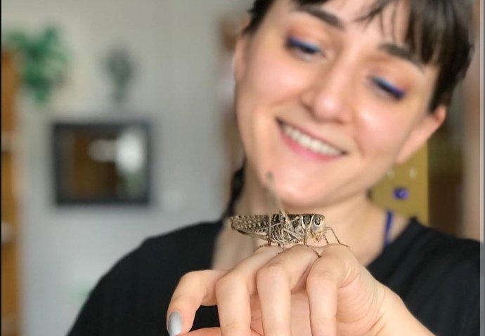 Çekirge besleseydin, adını ne koyardın?