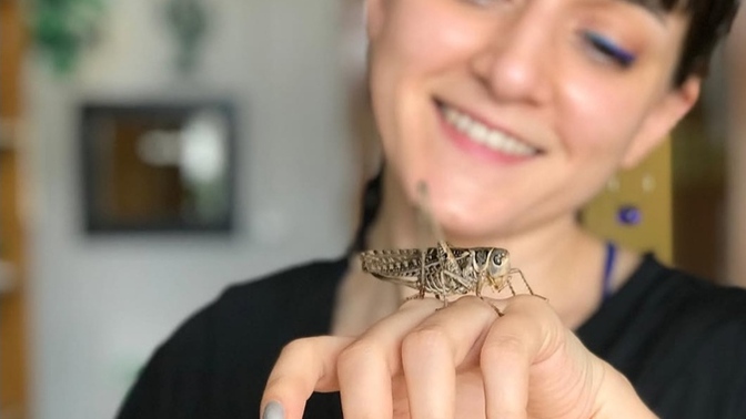 Çekirge besleseydin, adını ne koyardın?