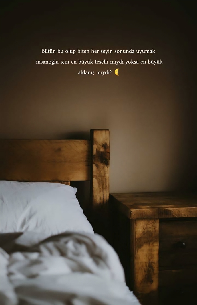 🌙