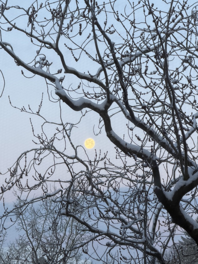 Bulunduğunuz şehirde de kar yağdı mı, kar keyfi yapabildiniz mi ❄️🌨️?