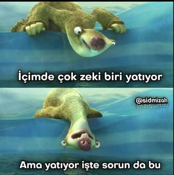 İçinizdeki Zeki Kişi Yatıyor mu? Çalışıyor mu?