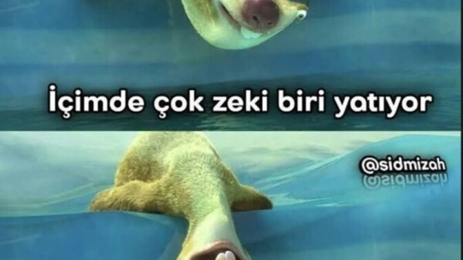 İçinizdeki Zeki Kişi Yatıyor mu? Çalışıyor mu?