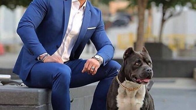 Takım elbise giyen erkek mi daha çekici, yoksa sportif giyim tarzı mı daha havalı olur?